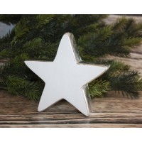 02.591.11 CHRISTMAS зірка біле-срібло